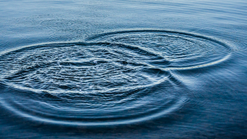 The Whole Teacher: The Ripple Effect