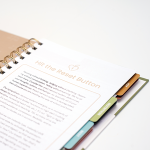 Whole Teacher® Guidebook: Foundation Experience